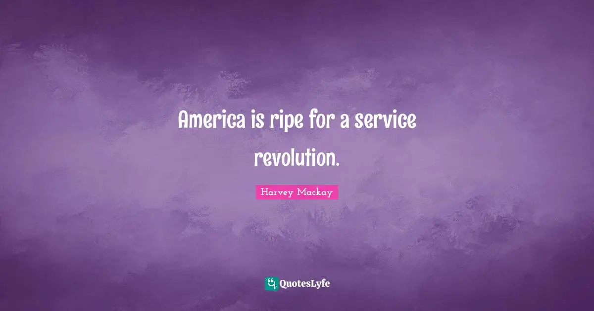 America is ripe for a service revolution.