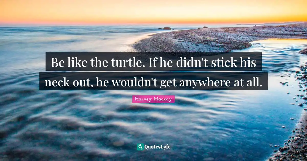 Harvey MacKay Quotes: "Be like the turtle. If he didn't stick his neck out, he wouldn't get anywhere at all."