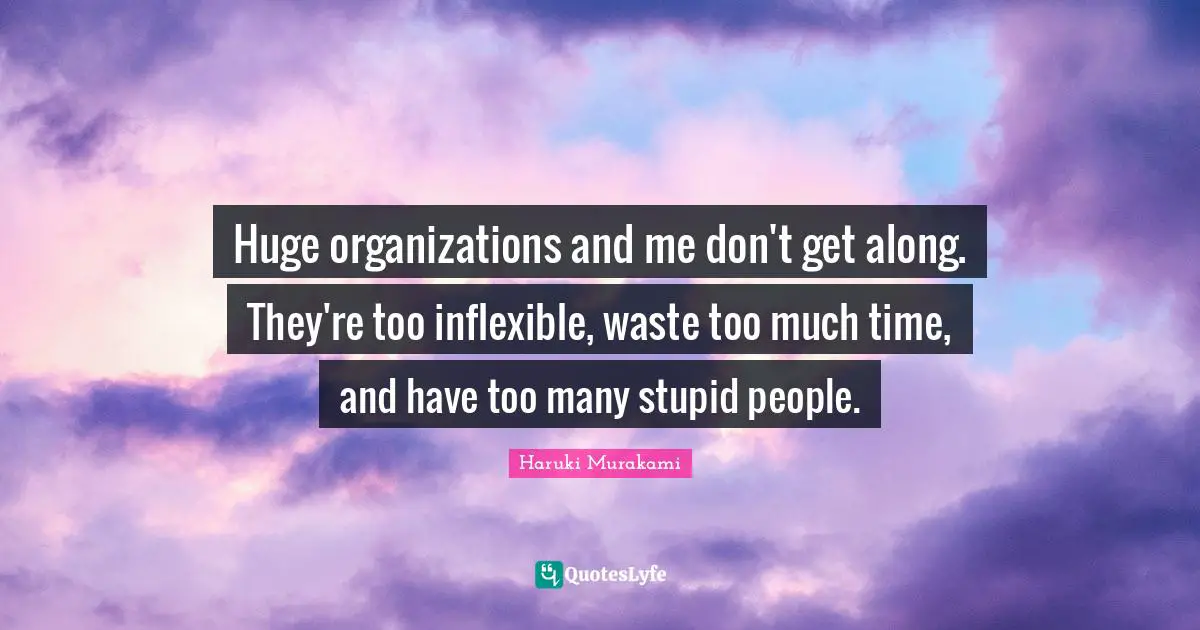 Huge organizations and me don't get along. They're too inflexible, waste too much time, and have too many stupid people.