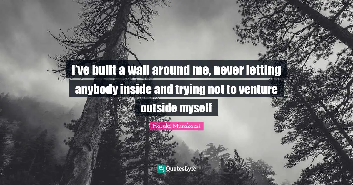 I’ve built a wall around me, never letting anybody inside and trying not to venture outside myself