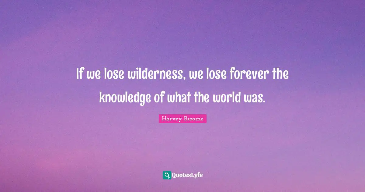 If we lose wilderness, we lose forever the knowledge of what the world was.