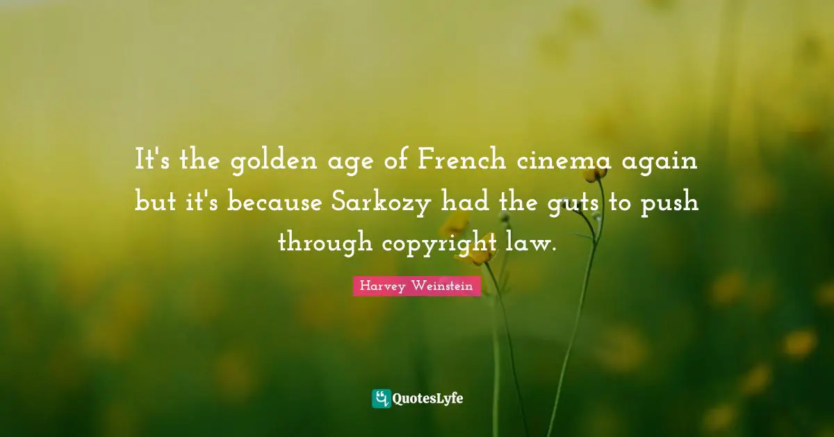 It's the golden age of French cinema again but it's because Sarkozy had the guts to push through copyright law.