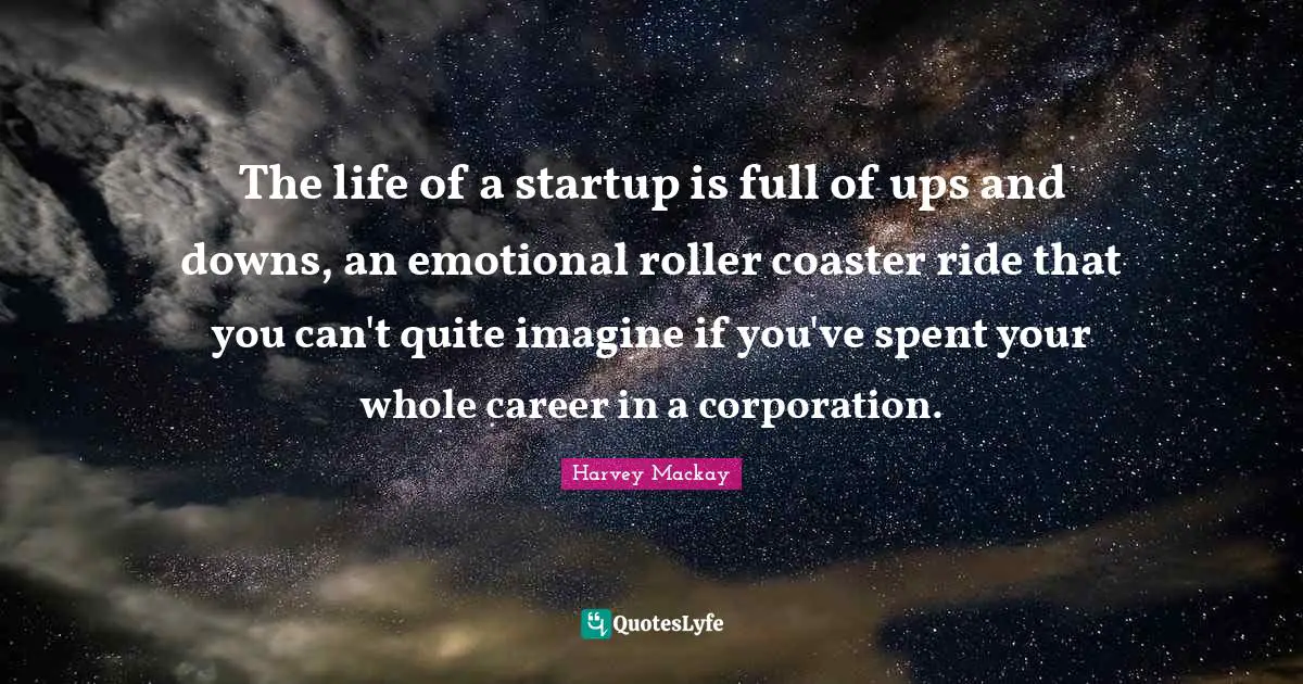 The life of a startup is full of ups and downs, an emotional roller coaster ride that you can't quite imagine if you've spent your whole career in a corporation.