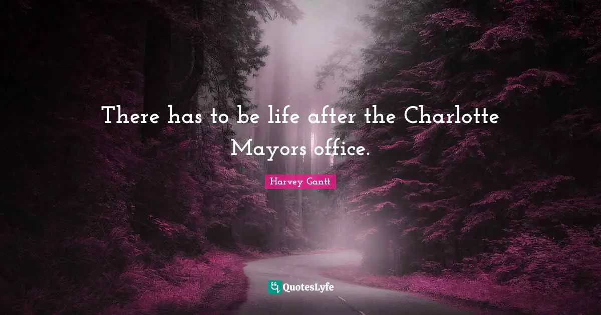 There has to be life after the Charlotte Mayors office.