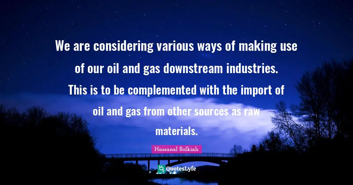 We are considering various ways of making use of our oil and gas downstream industries. This is to be complemented with the import of oil and gas from other sources as raw materials.