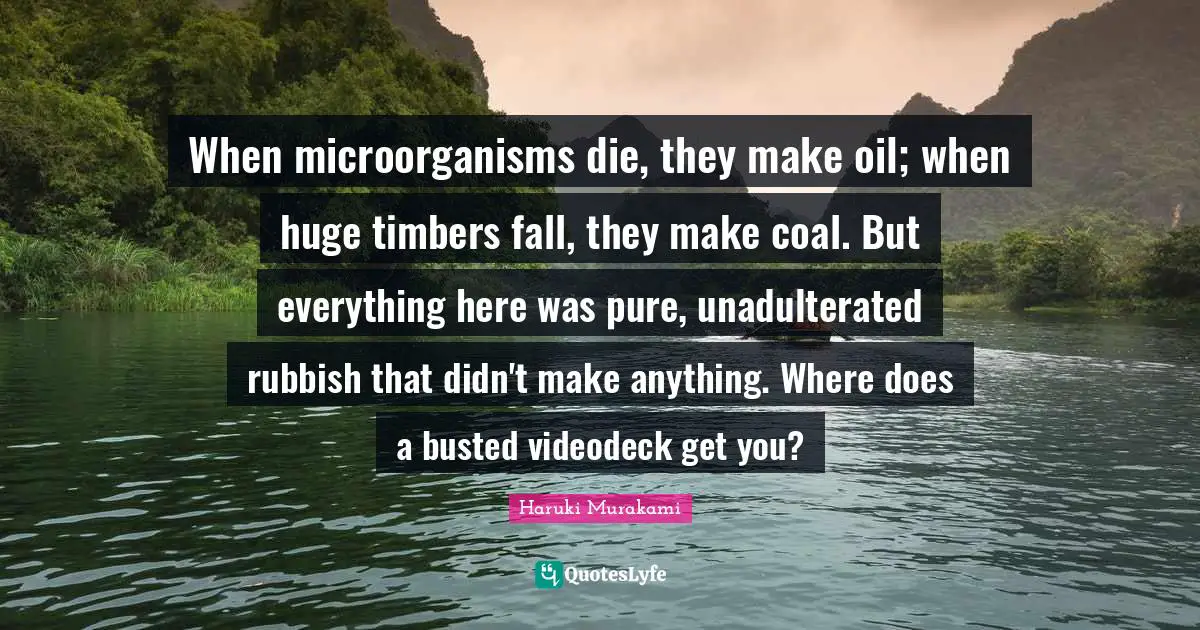When microorganisms die, they make oil; when huge timbers fall, they make coal. But everything here was pure, unadulterated rubbish that didn't make anything. Where does a busted videodeck get you?