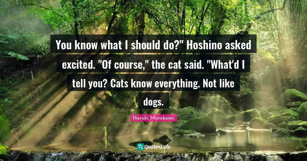 You know what I should do?" Hoshino asked excited. "Of course," the cat said. "What'd I tell you? Cats know everything. Not like dogs.