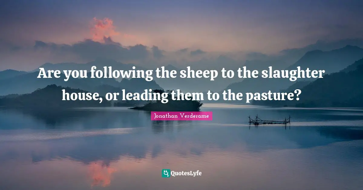 Are you following the sheep to the slaughter house, or leading them to the pasture?