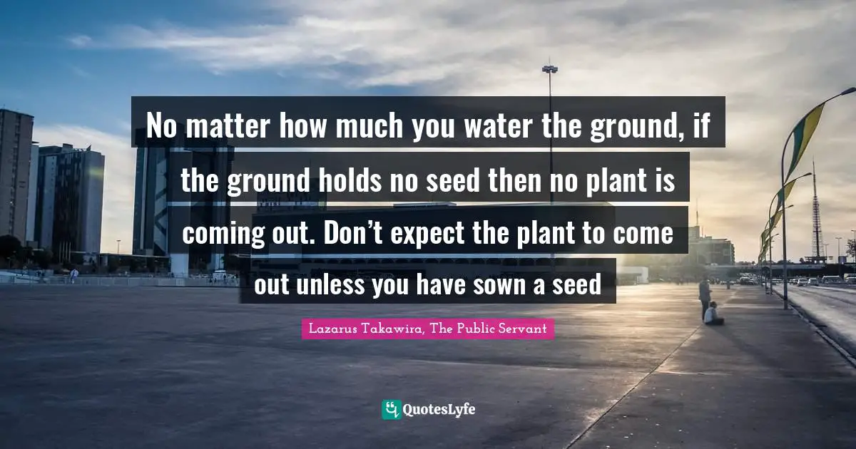 Lazarus Takawira Quotes: "No matter how much you water the ground, if the ground holds no seed then no plant is coming out. Don’t expect the plant to come out unless you have sown a seed"
