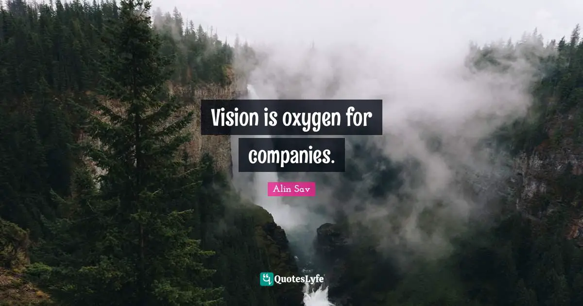 Vision is oxygen for companies.
