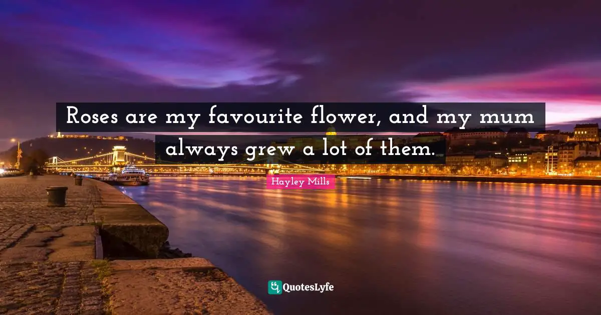 Roses are my favourite flower, and my mum always grew a lot of them.