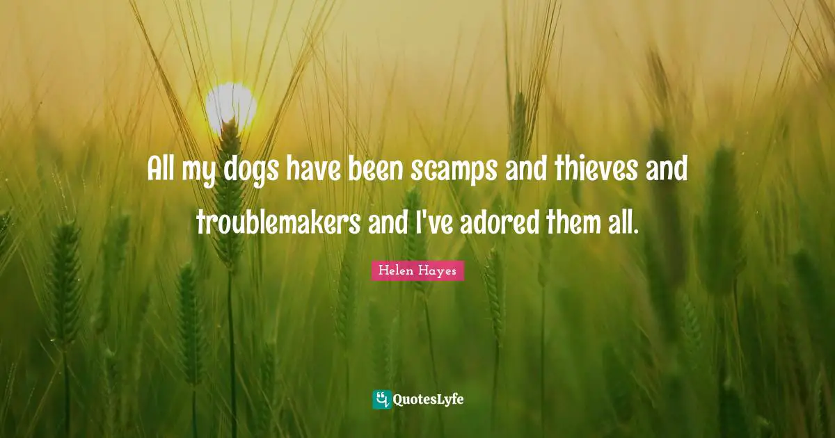All my dogs have been scamps and thieves and troublemakers and I've adored them all.