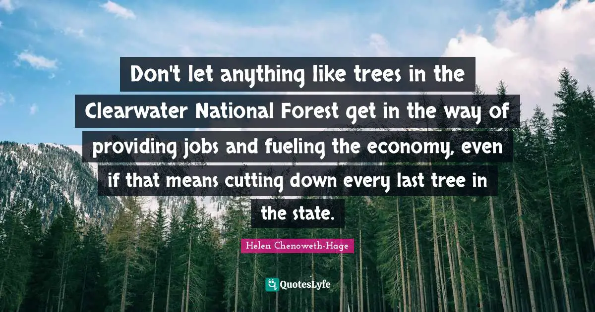 Don't let anything like trees in the Clearwater National Forest get in the way of providing jobs and fueling the economy, even if that means cutting down every last tree in the state.