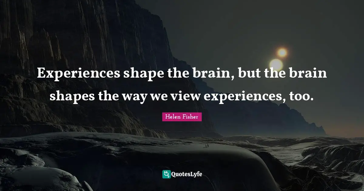 Helen Fisher Quotes: "Experiences shape the brain, but the brain shapes the way we view experiences, too."