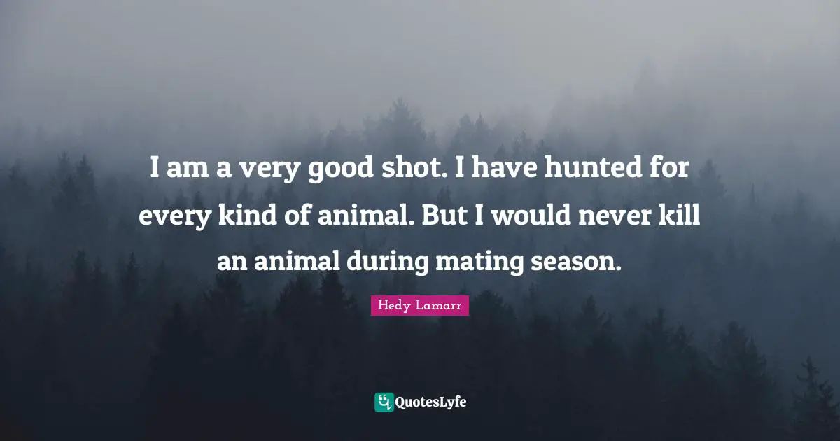 Very Good Quotes: "I am a very good shot. I have hunted for every kind of animal. But I would never kill an animal during mating season."
