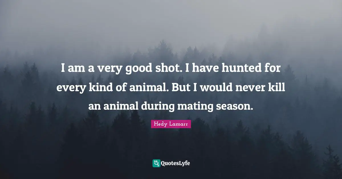Hedy Lamarr Quotes: I am a very good shot. I have hunted for every kind of animal. But I would never kill an animal during mating season.