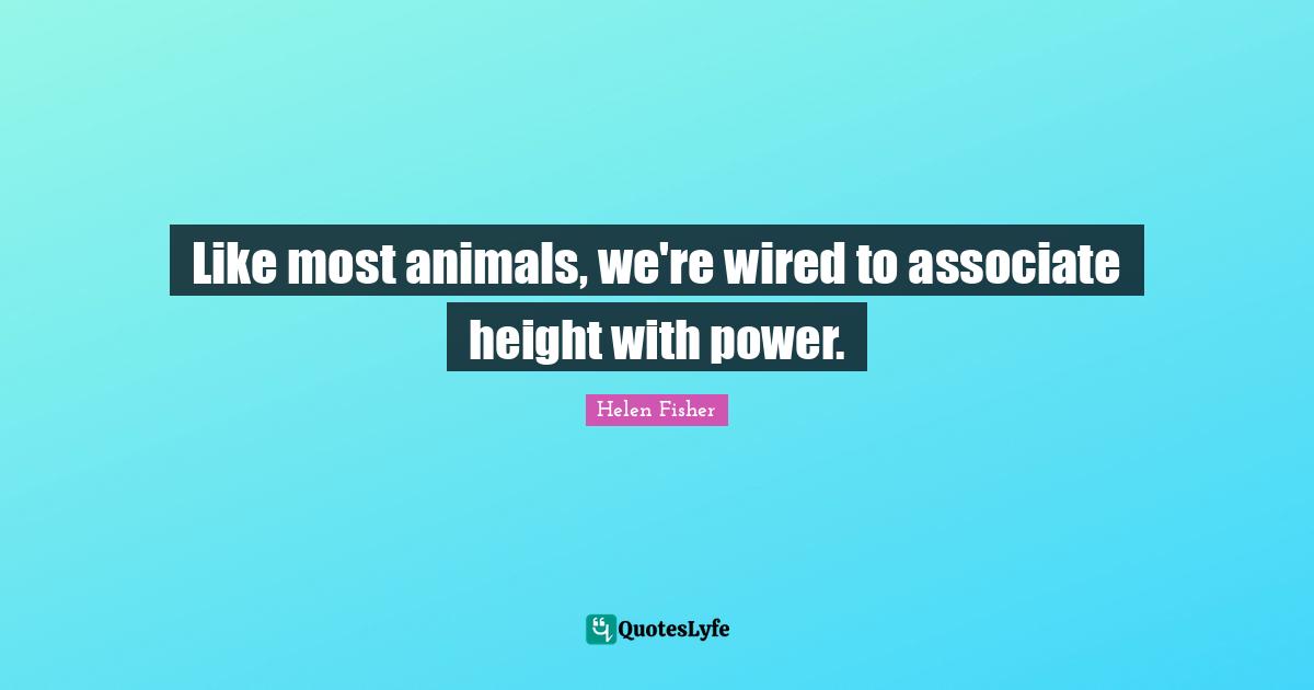 Like most animals, we're wired to associate height with power.