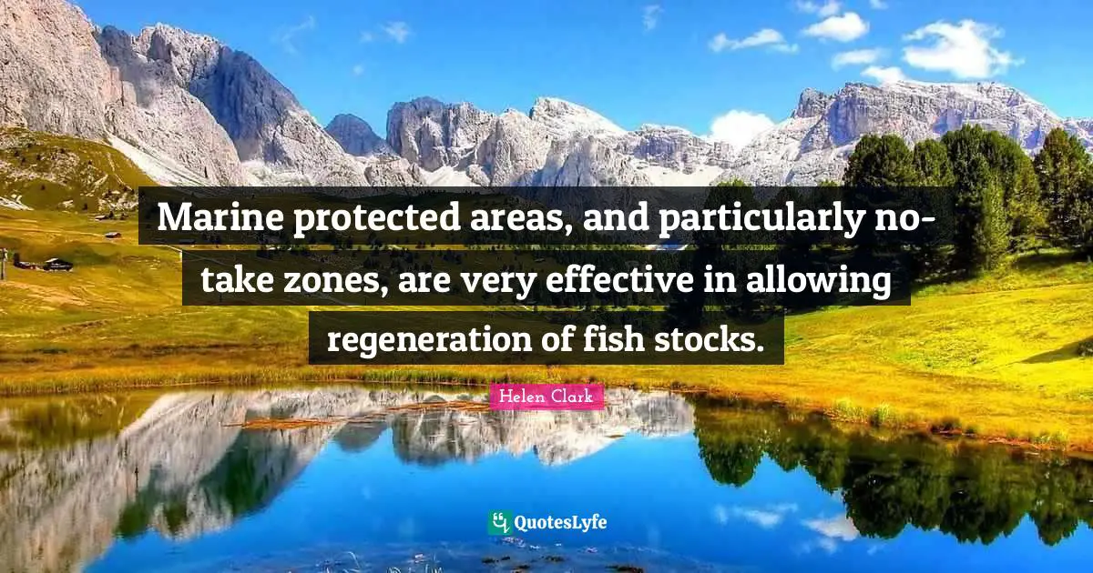 Marine protected areas, and particularly no-take zones, are very effective in allowing regeneration of fish stocks.