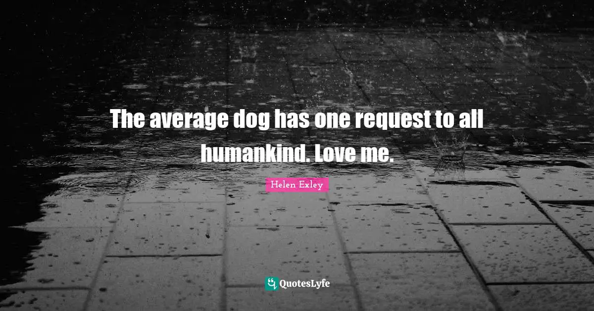 The average dog has one request to all humankind. Love me.