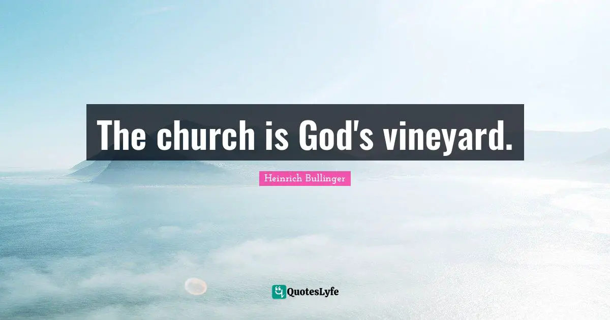 The church is God's vineyard.