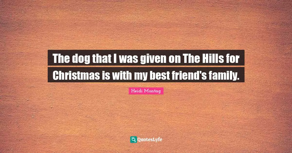 The dog that I was given on The Hills for Christmas is with my best friend's family.