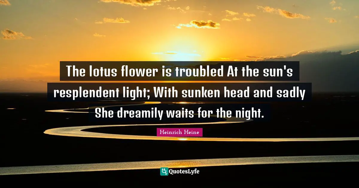The lotus flower is troubled At the sun's resplendent light; With sunken head and sadly She dreamily waits for the night.