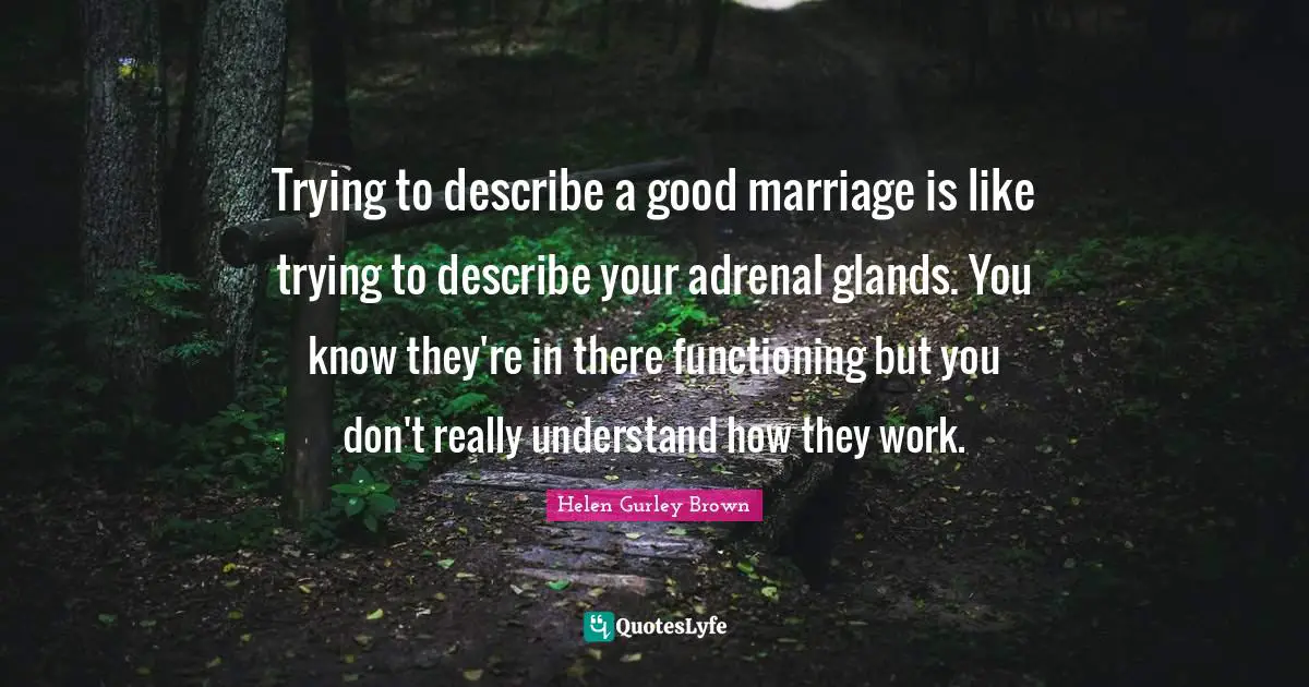 Trying to describe a good marriage is like trying to describe your adrenal glands. You know they're in there functioning but you don't really understand how they work.