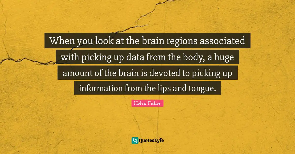 Helen Fisher Quotes: "When you look at the brain regions associated with picking up data from the body, a huge amount of the brain is devoted to picking up information from the lips and tongue."