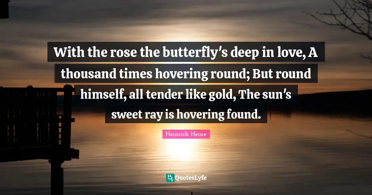 With the rose the butterfly's deep in love, A thousand times hovering round; But round himself, all tender like gold, The sun's sweet ray is hovering found.