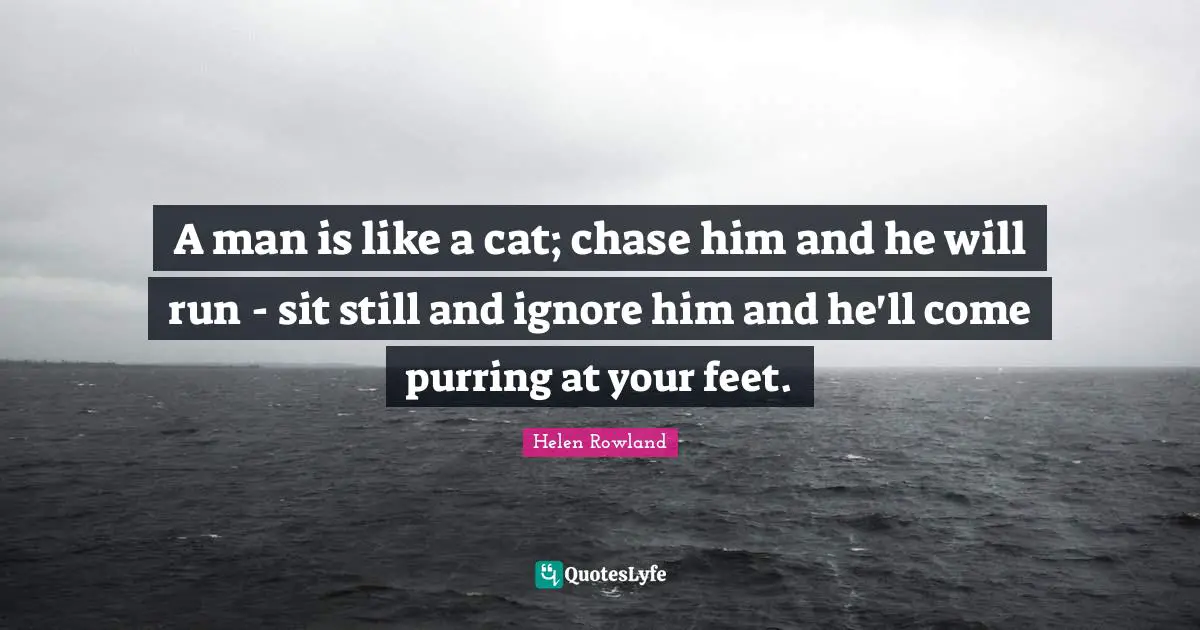 A man is like a cat; chase him and he will run - sit still and ignore him and he'll come purring at your feet.
