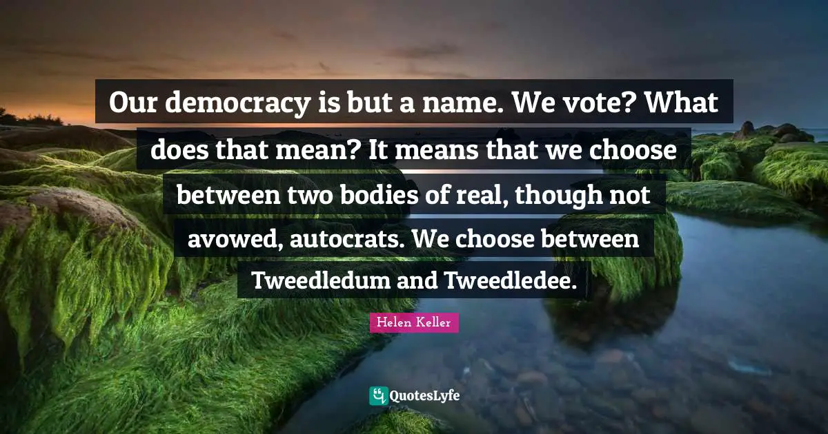 Our democracy is but a name. We vote? What does that mean? It means that we choose between two bodies of real, though not avowed, autocrats. We choose between Tweedledum and Tweedledee.