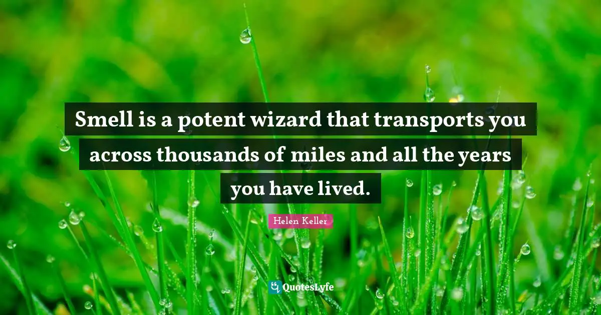 Smell is a potent wizard that transports you across thousands of miles and all the years you have lived.