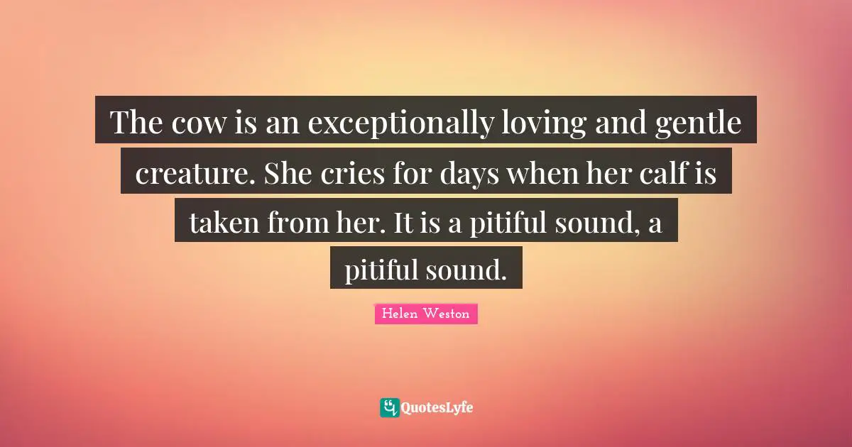 Gentle Quotes: "The cow is an exceptionally loving and gentle creature. She cries for days when her calf is taken from her. It is a pitiful sound, a pitiful sound."