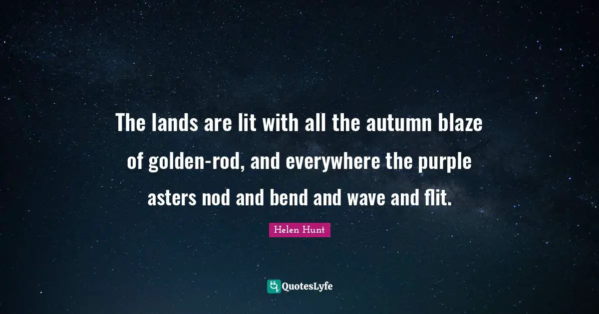The lands are lit with all the autumn blaze of golden-rod, and everywhere the purple asters nod and bend and wave and flit.