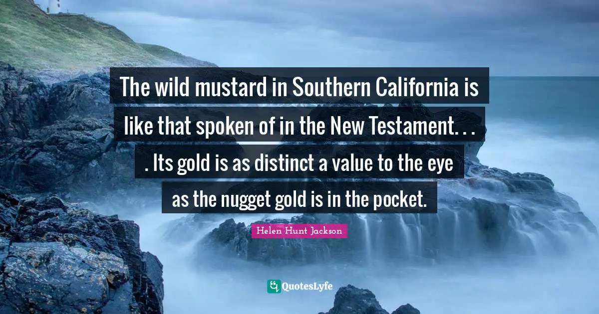 The wild mustard in Southern California is like that spoken of in the New Testament. . . . Its gold is as distinct a value to the eye as the nugget gold is in the pocket.