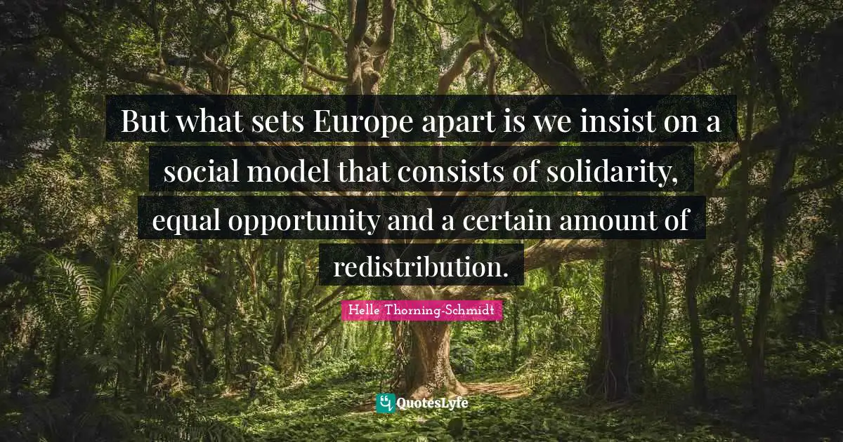 But what sets Europe apart is we insist on a social model that consists of solidarity, equal opportunity and a certain amount of redistribution.