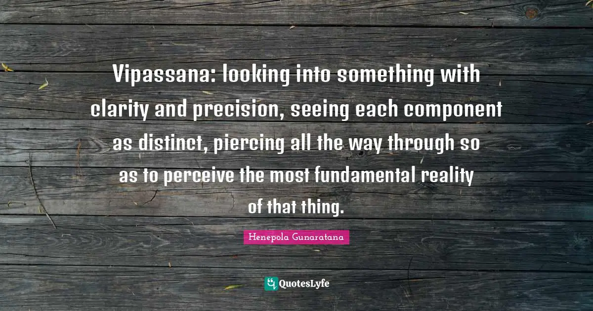 Vipassana: looking into something with clarity and precision, seeing each component as distinct, piercing all the way through so as to perceive the most fundamental reality of that thing.