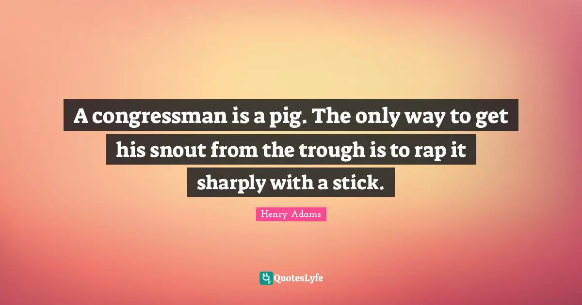 A congressman is a pig. The only way to get his snout from the trough is to rap it sharply with a stick.