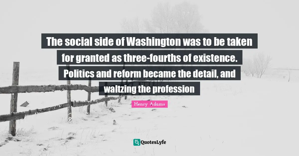 The social side of Washington was to be taken for granted as three-fourths of existence. Politics and reform became the detail, and waltzing the profession