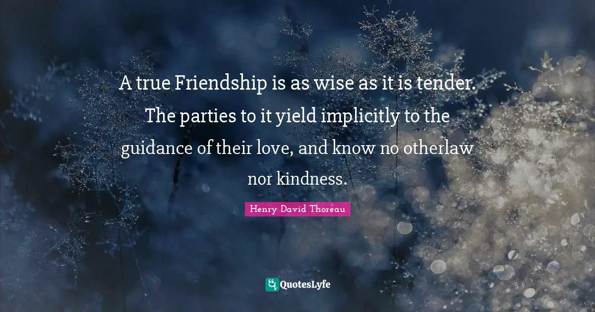 True Friendship Quotes: "A true Friendship is as wise as it is tender. The parties to it yield implicitly to the guidance of their love, and know no otherlaw nor kindness."