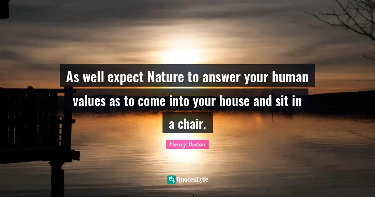 Human Values Quotes: "As well expect Nature to answer your human values as to come into your house and sit in a chair."
