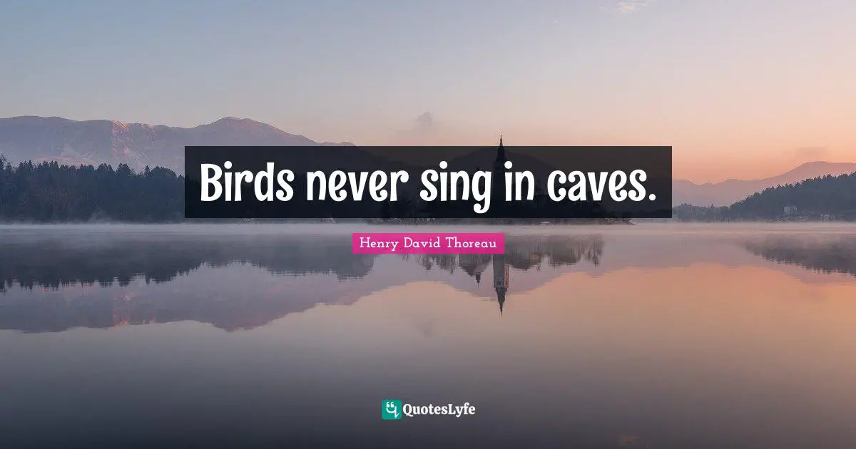 Caves Quotes: "Birds never sing in caves."