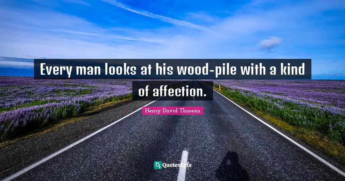 Every man looks at his wood-pile with a kind of affection.