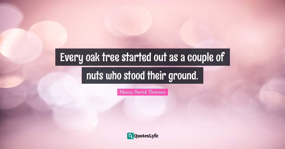 Every oak tree started out as a couple of nuts who stood their ground.