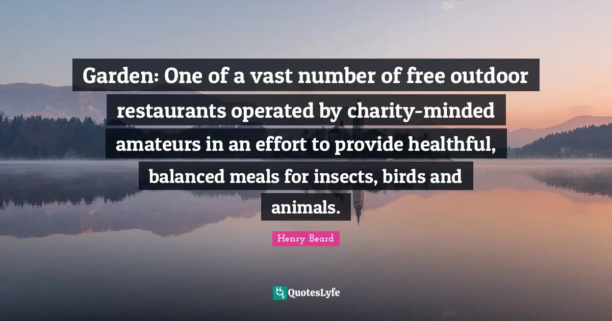Garden: One of a vast number of free outdoor restaurants operated by charity-minded amateurs in an effort to provide healthful, balanced meals for insects, birds and animals.
