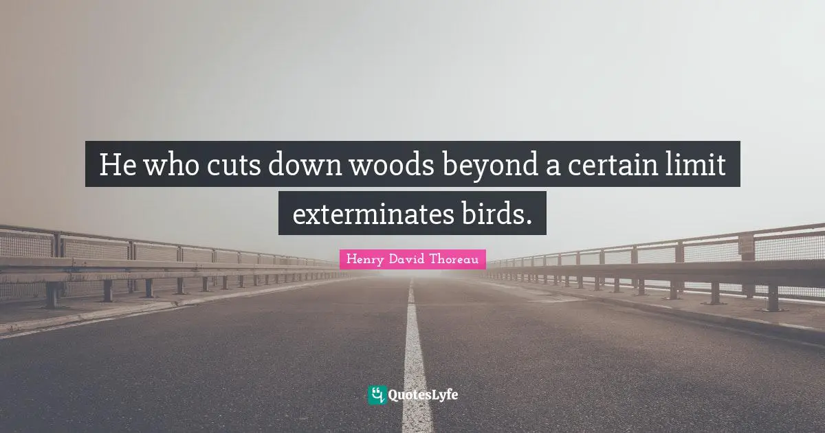 He who cuts down woods beyond a certain limit exterminates birds.