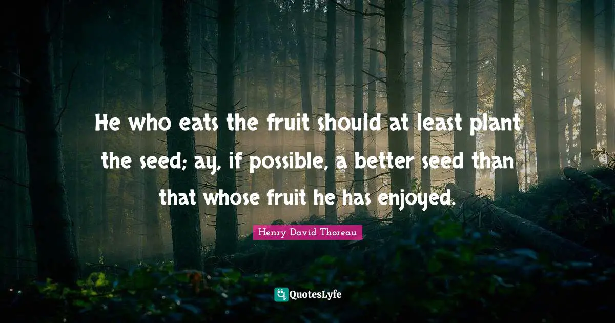 He who eats the fruit should at least plant the seed; ay, if possible, a better seed than that whose fruit he has enjoyed.