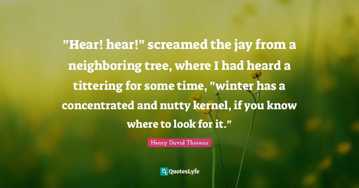 "Hear! hear!" screamed the jay from a neighboring tree, where I had heard a tittering for some time, "winter has a concentrated and nutty kernel, if you know where to look for it."
