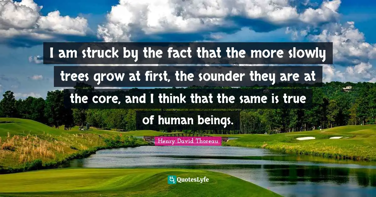 I am struck by the fact that the more slowly trees grow at first, the sounder they are at the core, and I think that the same is true of human beings.