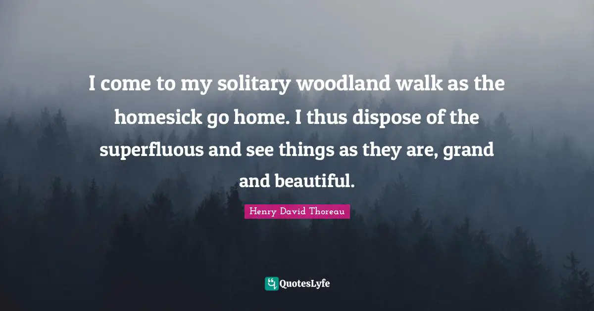 Solitary Quotes: "I come to my solitary woodland walk as the homesick go home. I thus dispose of the superfluous and see things as they are, grand and beautiful."